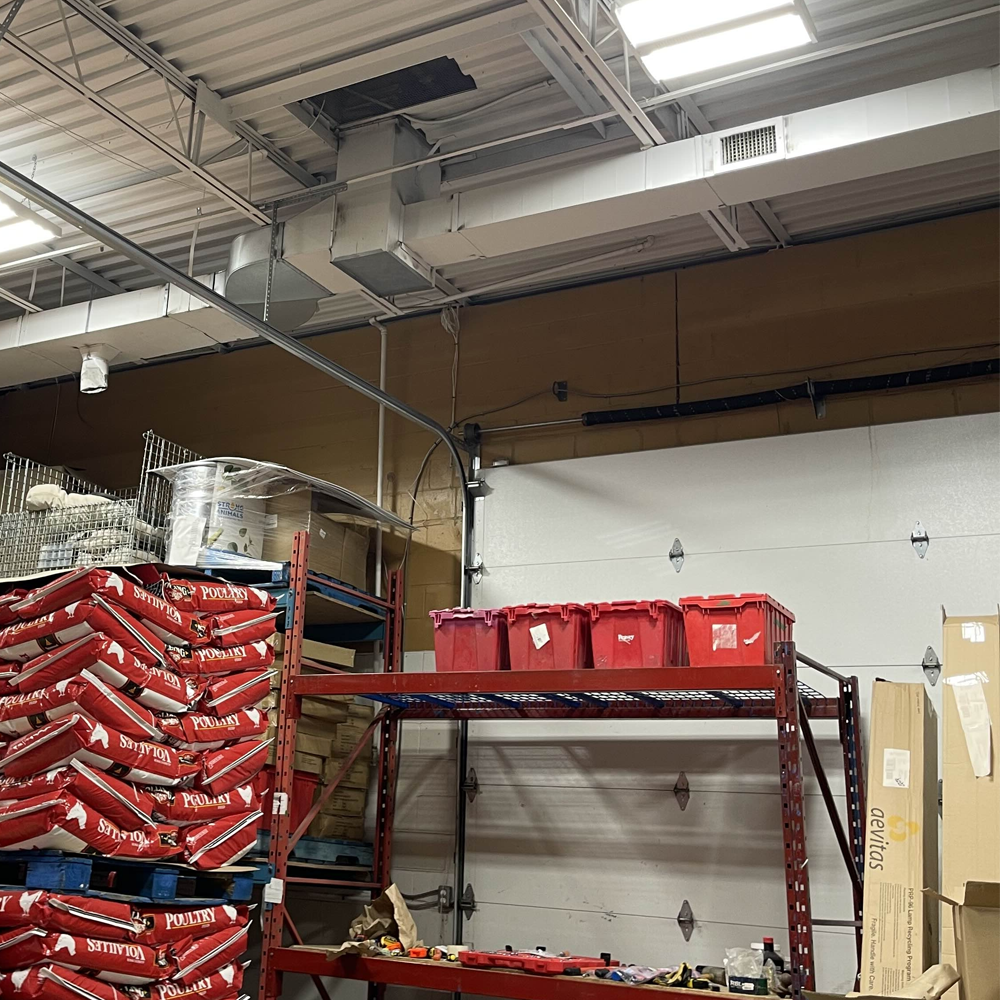 put a description here or you will lose grades