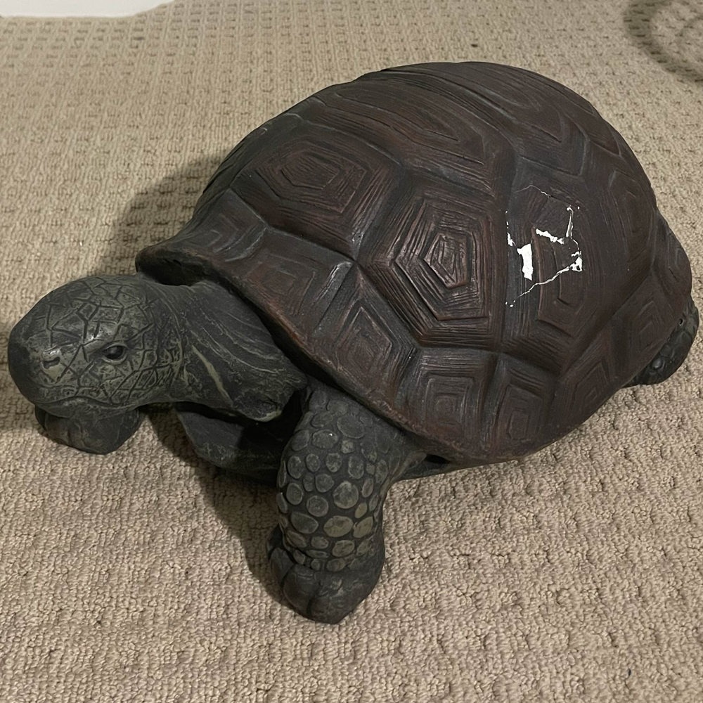 This is my pet ceramic tortoise, Stephano. Stephano guards my room and is a very good boy. His shell is broken, whenever I tap on his shell the echo from him being hollow is quite noticable.